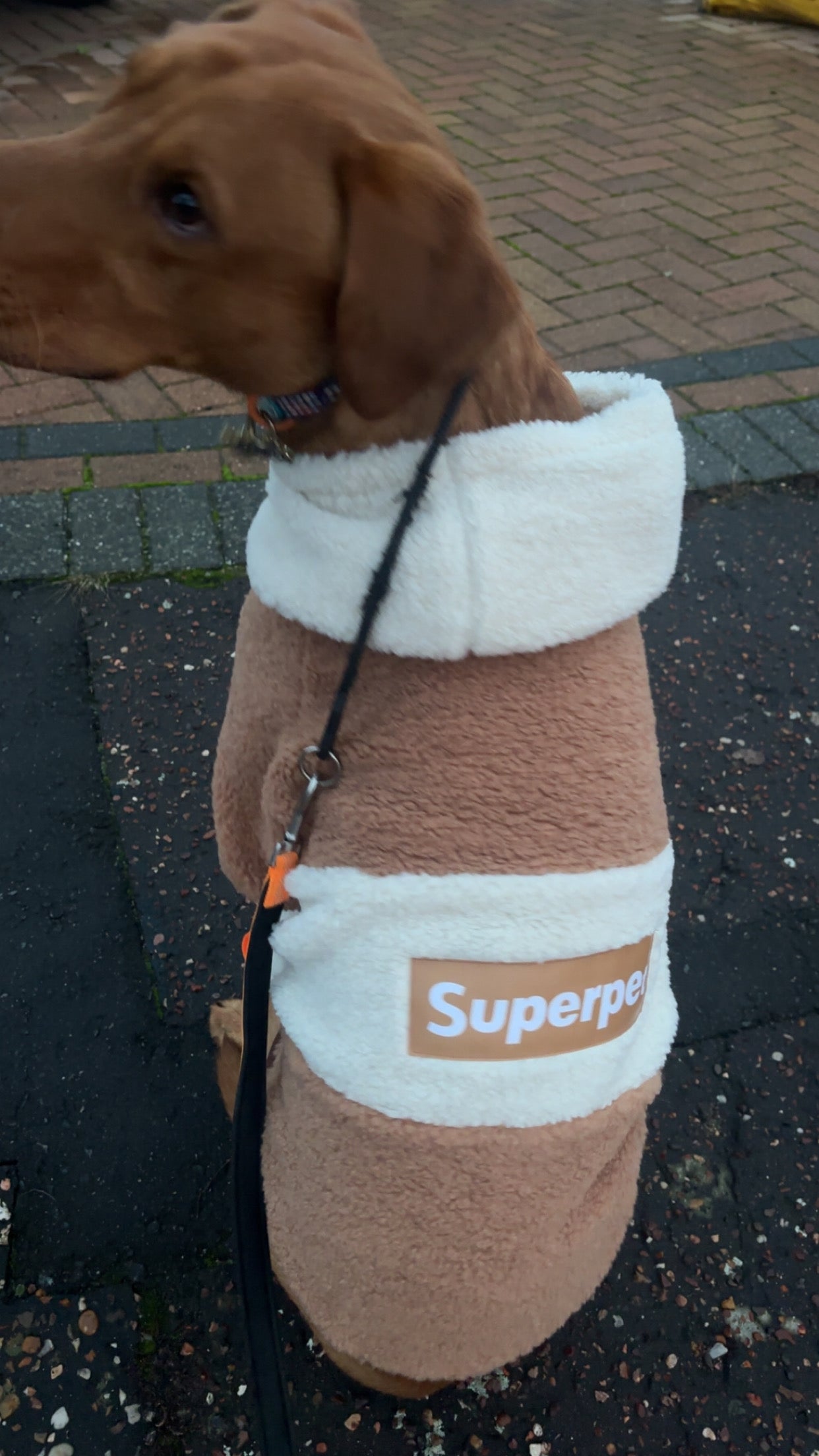 SuperPet Jumper