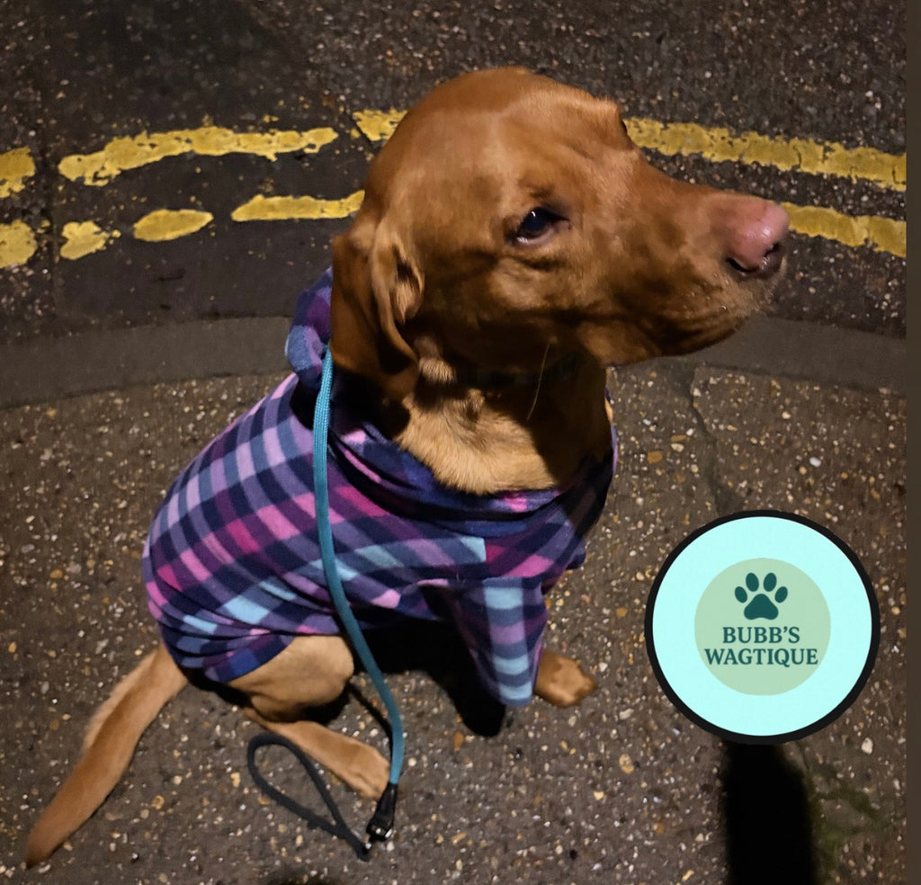 Elmer Hooded Sweatshirt