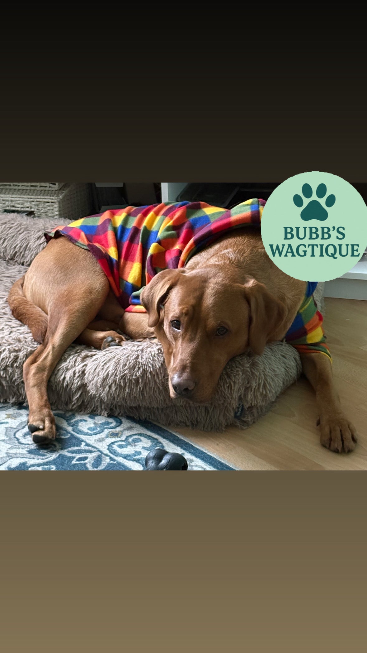 Elmer Hooded Sweatshirt